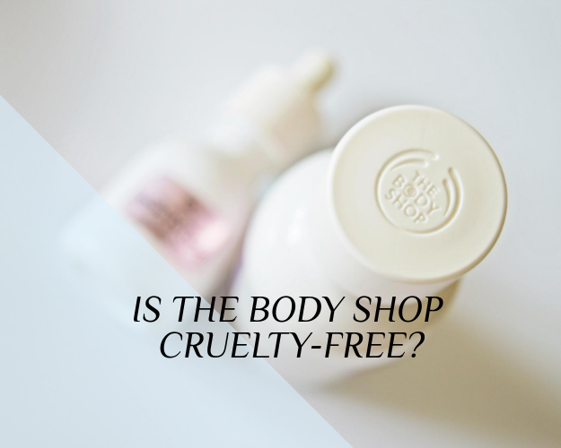 Read more about the article Czy the Body Shop testuje na zwierzętach? – 2017